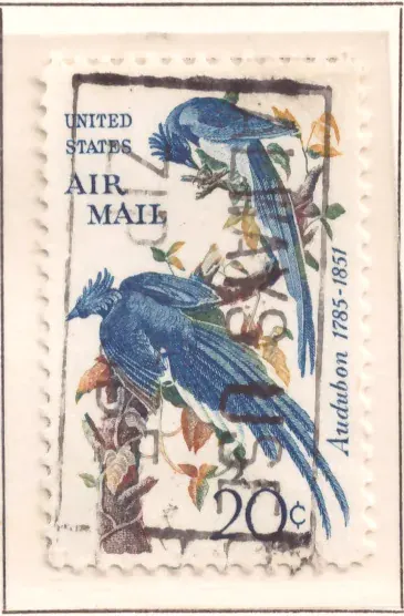 Air Mail – Audubon’s Columbia Jays