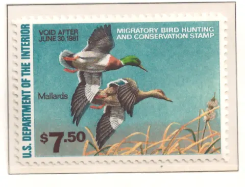 1980 Federal Duck Stamp – Mallards