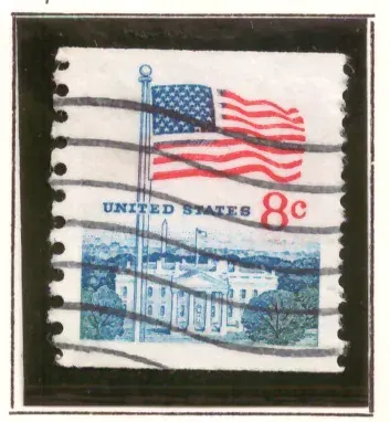 Flag and White House