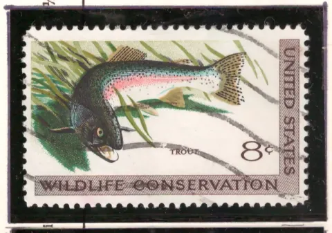 Wildlife Conservation – trout