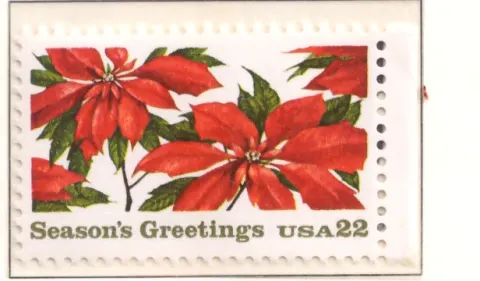 Poinsettia Christmas