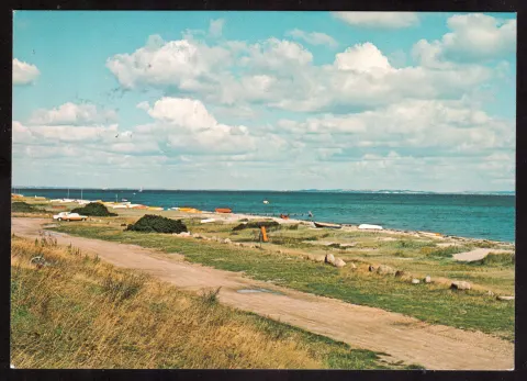 Danish seashore with dunes