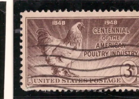 Poultry Industry Centennial