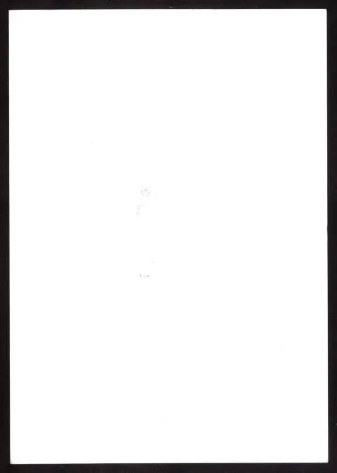 Tokaj wine advertising postcard