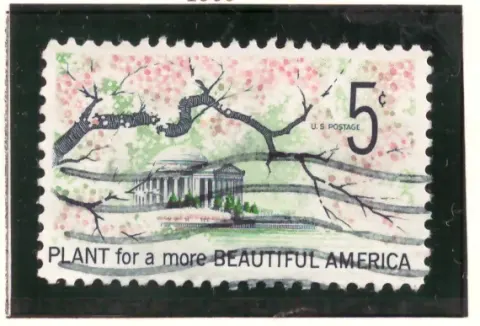 Beautify America – cherry blossoms and Jefferson Memorial