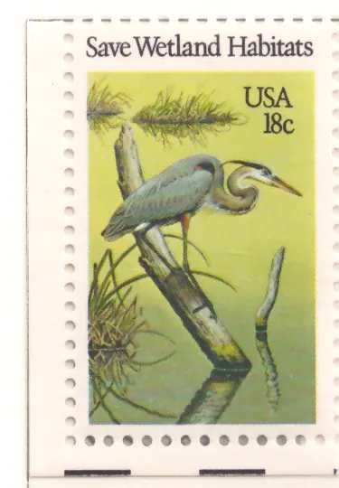 Save Wetland Habitats