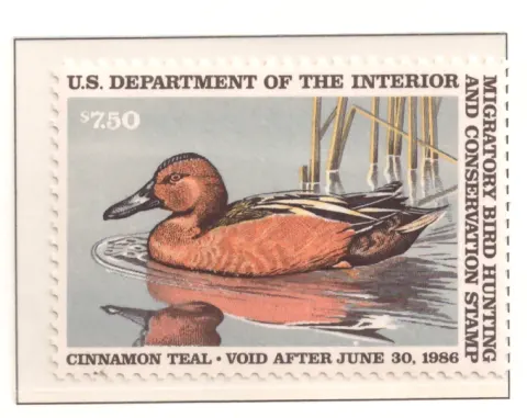 1985 Federal Duck Stamp – Cinnamon Teal