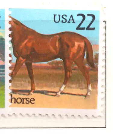 1985 American Horses – Quarter Horse