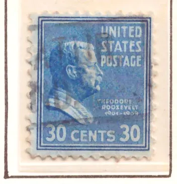 Presidential Series – Theodore Roosevelt