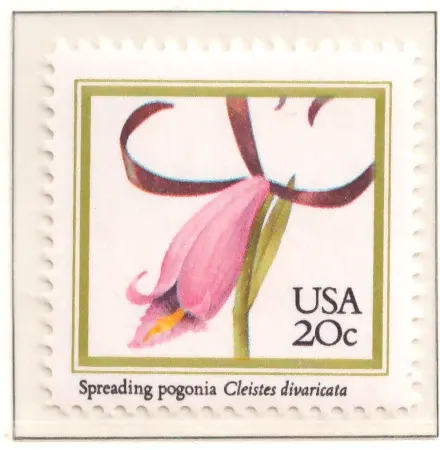 1984 Orchids – Spreading Pogonia