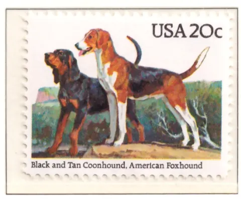 1984 Dogs – Coonhound and Foxhound