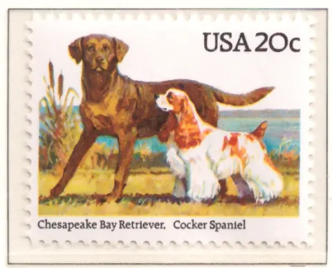 1984 Dogs – Retriever and Cocker Spaniel