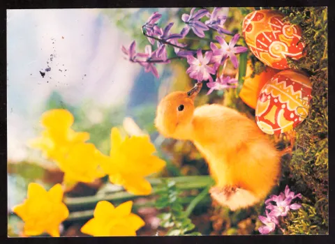 Easter greeting with rabbit and painted eggs