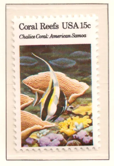 Coral Reefs – Chalice Coral, American Samoa