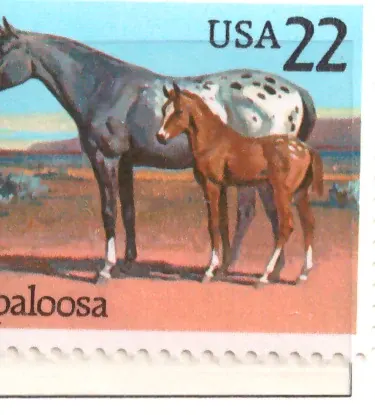 1985 American Horses – Appaloosa