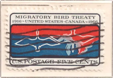Migratory Bird Treaty – 50th Anniversary