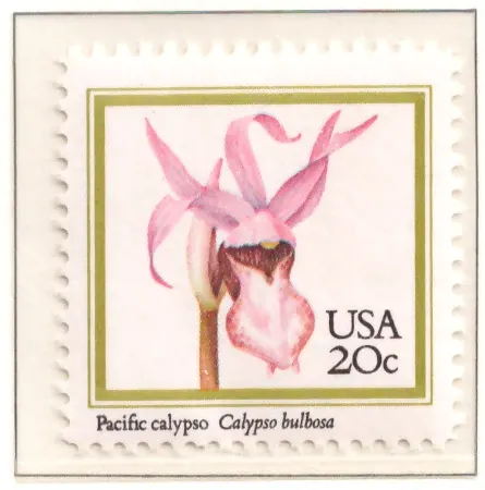1984 Orchids – Pacific Calypso