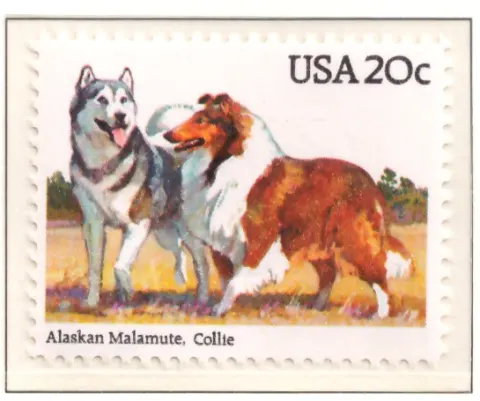 1984 Dogs – Alaskan Malamute and Collie