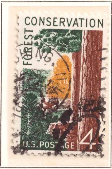 Forest Conservation