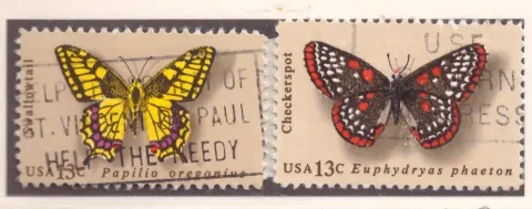 Butterflies – Swallowtail and Checkerspot pair