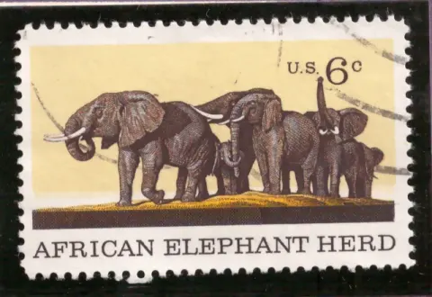 Natural History – African Elephant Herd
