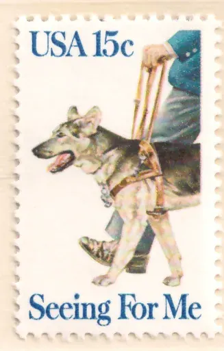 Seeing for Me – Seeing Eye Dogs