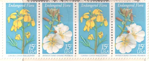 Endangered Flora – Wallflower and Primrose strip of four
