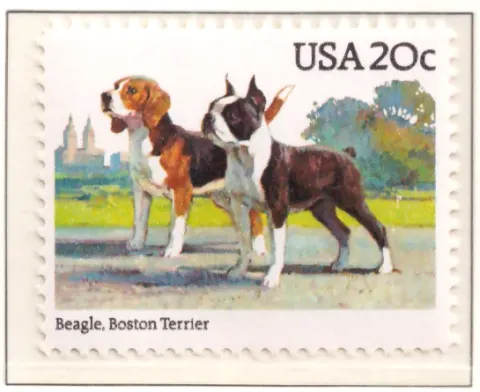 1984 Dogs – Beagle and Boston Terrier