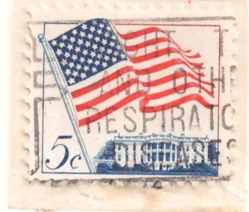 American Flag over White House