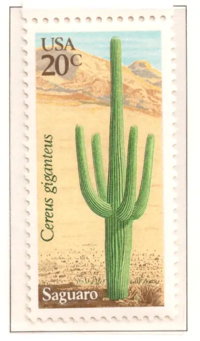 Desert Plants — Saguaro