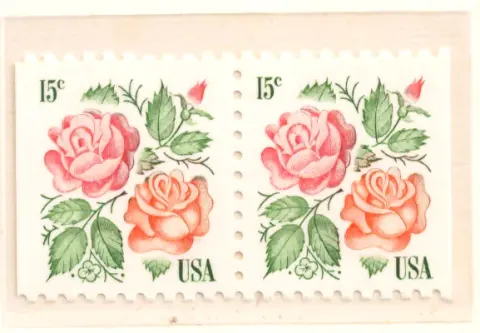 Christmas Roses – horizontal pair