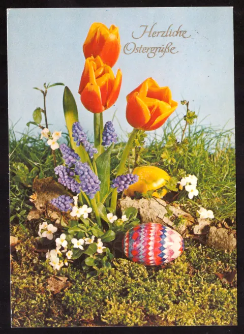 Easter greeting with tulips and egg