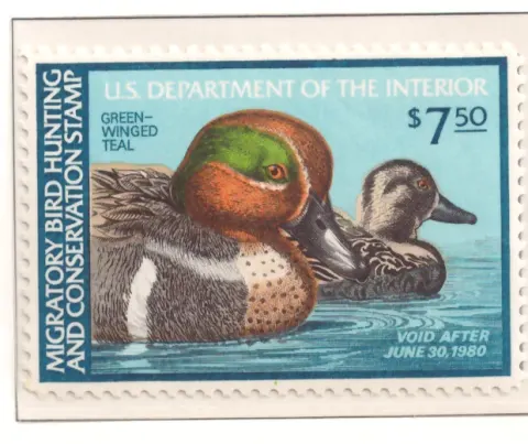 1979 Federal Duck Stamp – Green-winged Teal