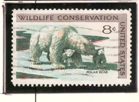 Wildlife Conservation – polar bear and cub
