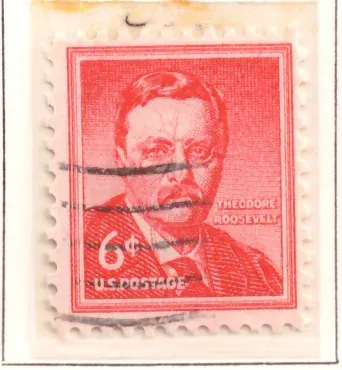 Theodore Roosevelt – Liberty Issue
