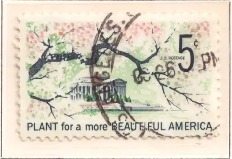 Beautify America