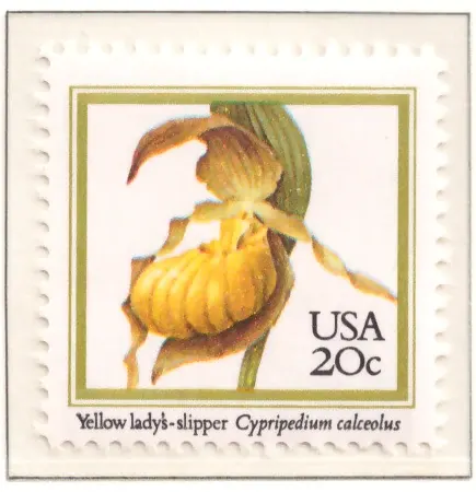 1984 Orchids – Yellow Lady's-slipper